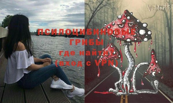 стаф Балабаново