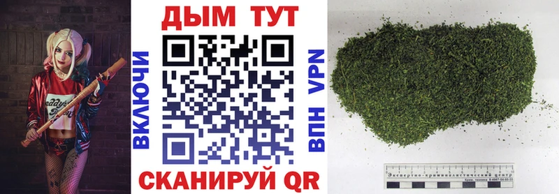 Каннабис Bruce Banner  цена   Лермонтов 